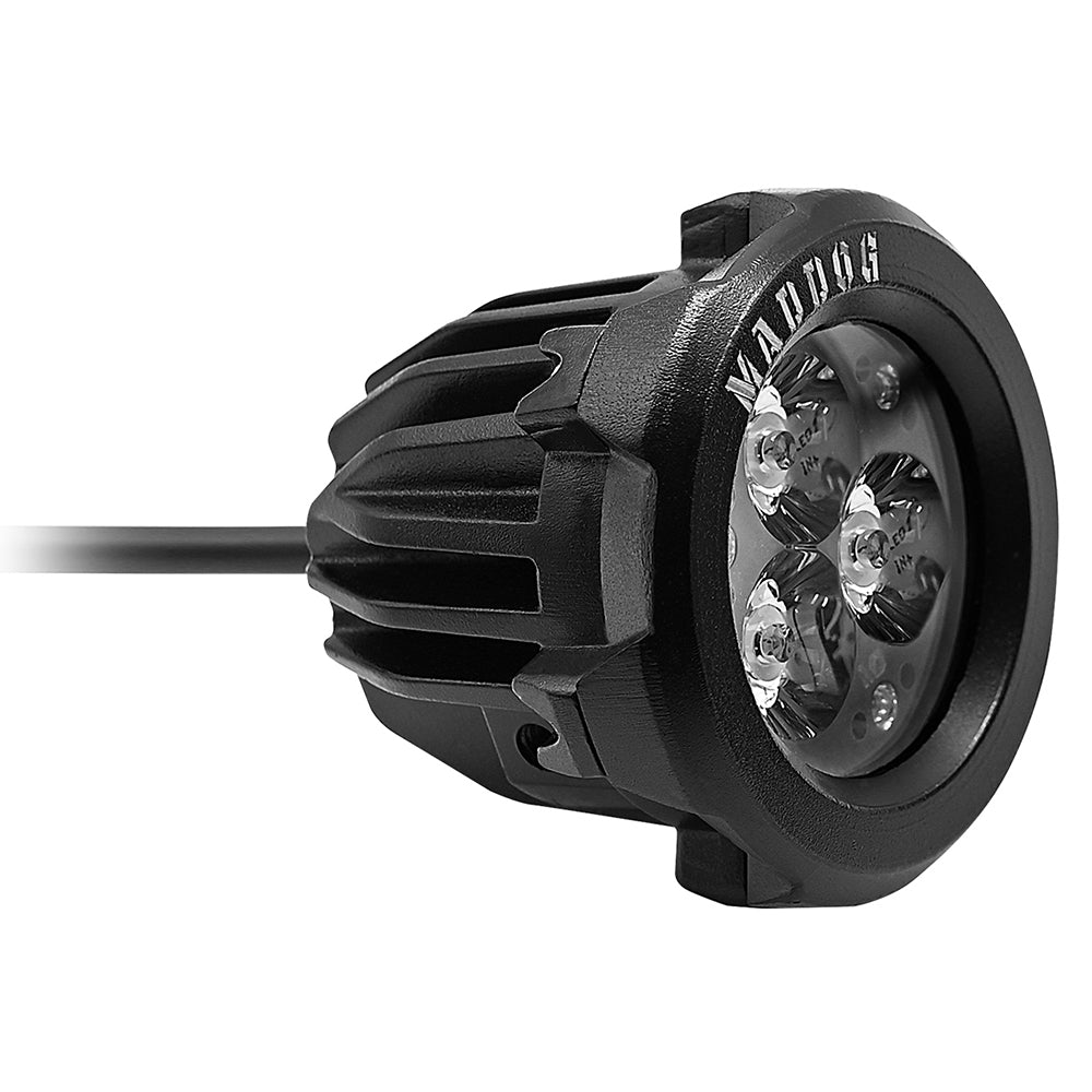 Scout Edition Auxiliary Light