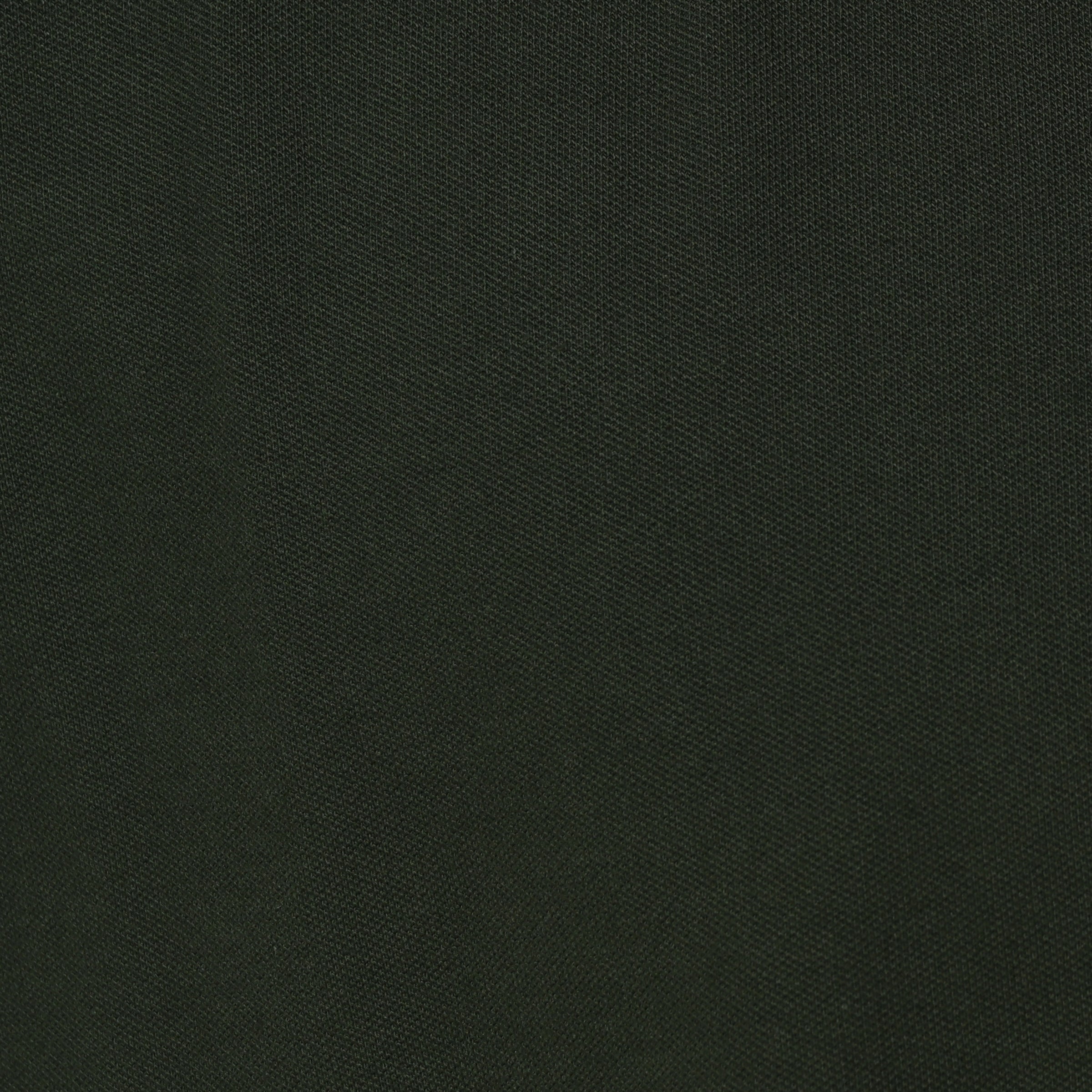 Navigating Mountains - Olive