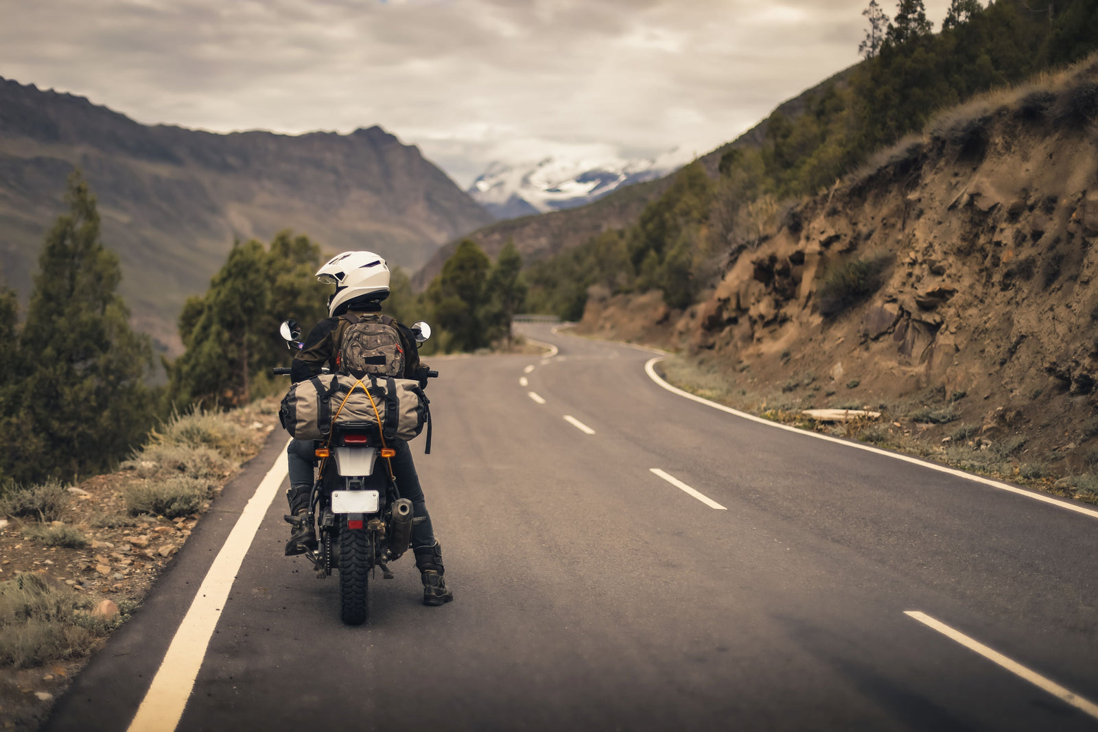 Choosing the Right Tyres for Different Terrains: From Highways to Off-Road Adventures