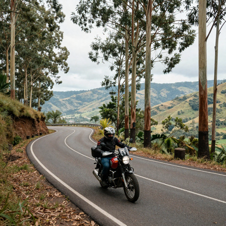 Exploring the Best Motorcycling Routes in the Nilgiris: From Ooty to Coonoor